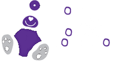 Stollery Childrens Hospital Foundation
